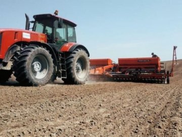 Чого цьогоріч найбільше сіють на Волині