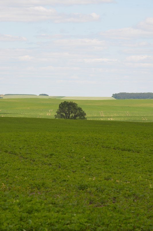 Фотовиставка: Сергій Олешкевич