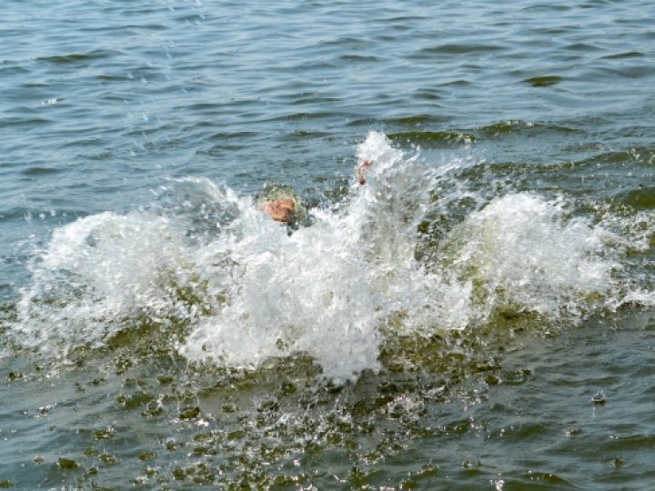На Волині під час відпочинку з друзями втопився 34-річний чоловік