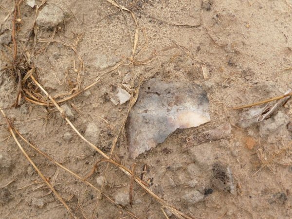 На Волині мародери зруйнували братську могилу. ФОТО