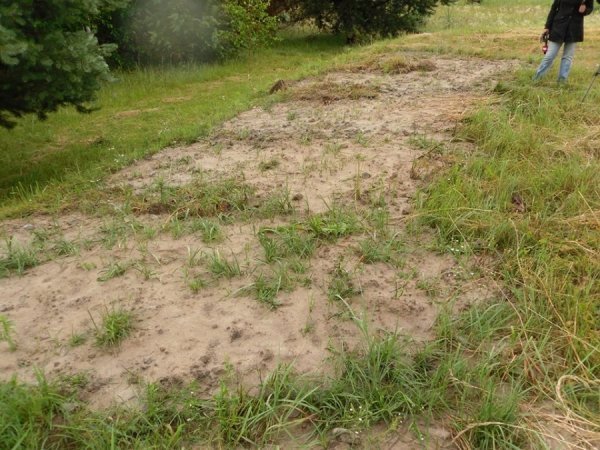 На Волині мародери зруйнували братську могилу. ФОТО