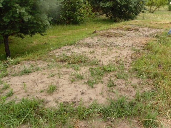 На Волині мародери зруйнували братську могилу. ФОТО