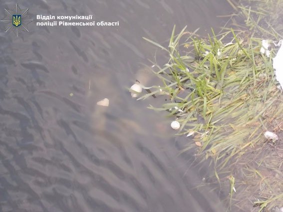У Рівному в річці виявили тіло волинського військового