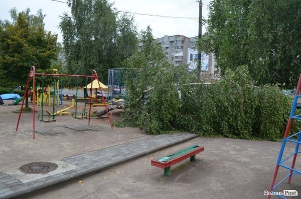 Негода повалила білборд на дорогу та дерево на дитячий майданчик. ФОТО
