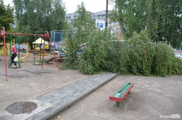 Негода повалила білборд на дорогу та дерево на дитячий майданчик. ФОТО