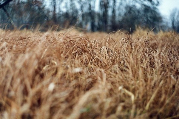 Фотовиставка Надії Міщук