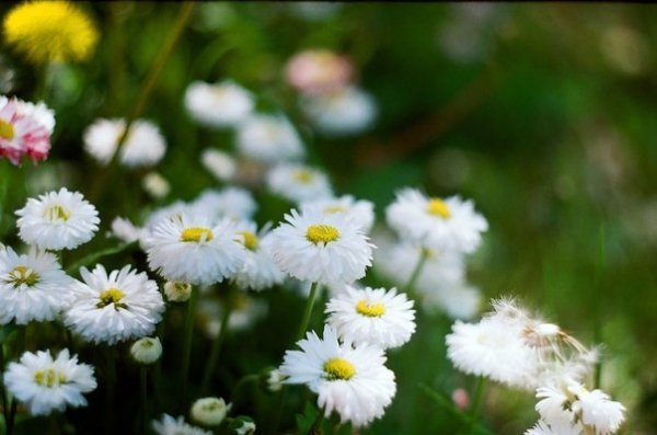 Фотовиставка Надії Міщук