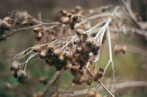 Фотовиставка Надії Міщук