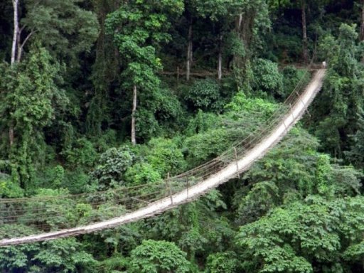 7. Сангам, Верхній Сианг, Індія (bigpicture.ru) 