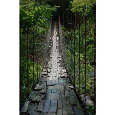 3. Поблизу вулкана Арена, Коста-Ріка (bigpicture.ru) 