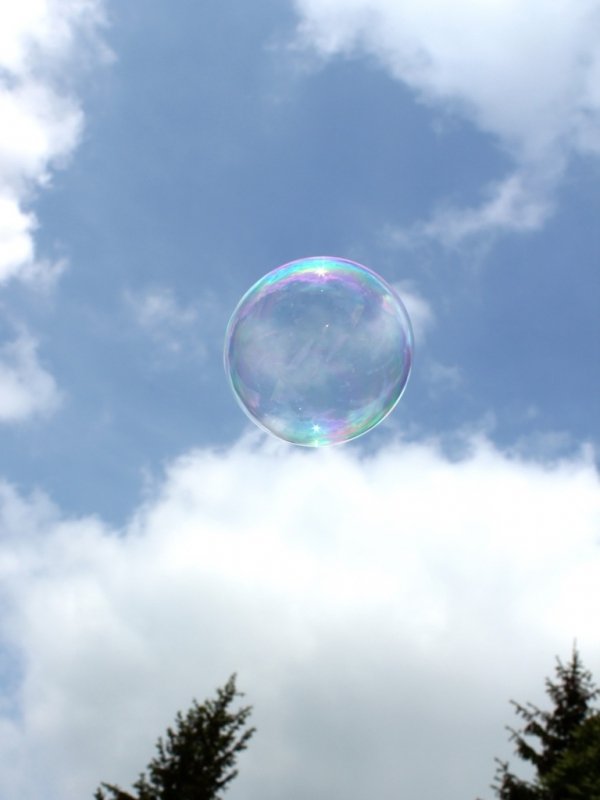 Фотовиставка Тетяни Полуектової