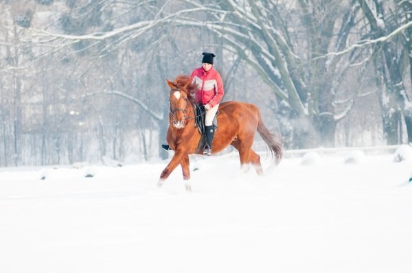 Фотовиставка Василя Охріменка