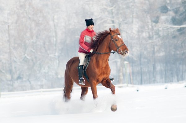 Фотовиставка Василя Охріменка