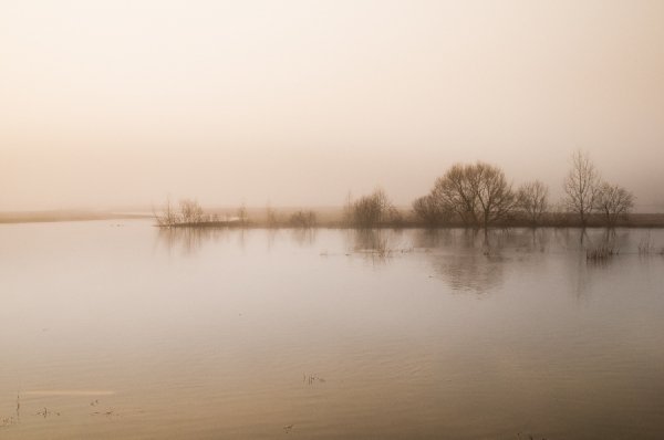 Фотовиставка Василя Охріменка