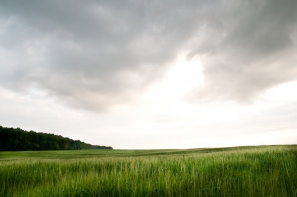 Фотовиставка Василя Охріменка