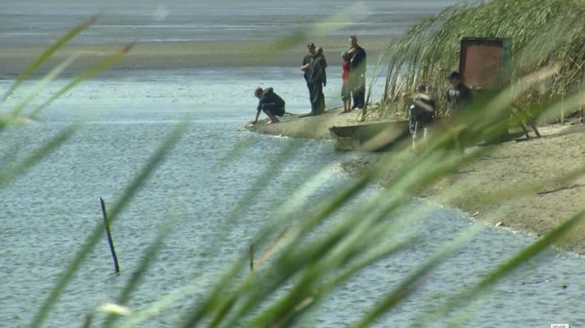 У селі на Волині масово загинула риба. ВІДЕО