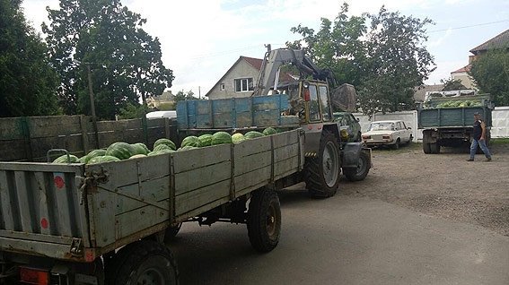 Ківерцівські поліцейські вилучили у волинянина кавуни. ФОТО