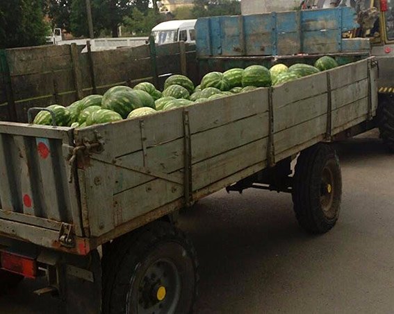 Ківерцівські поліцейські вилучили у волинянина кавуни. ФОТО