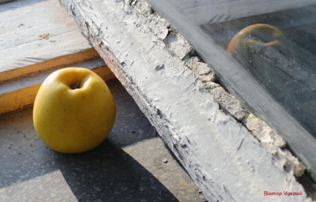 Листопад у Луцьку: соковиті фото