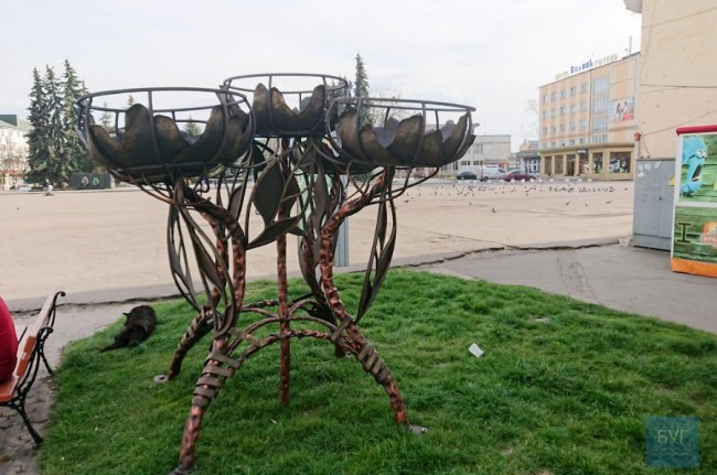 У місті на Волині встановили клумби для вертикального озеленення. ФОТО