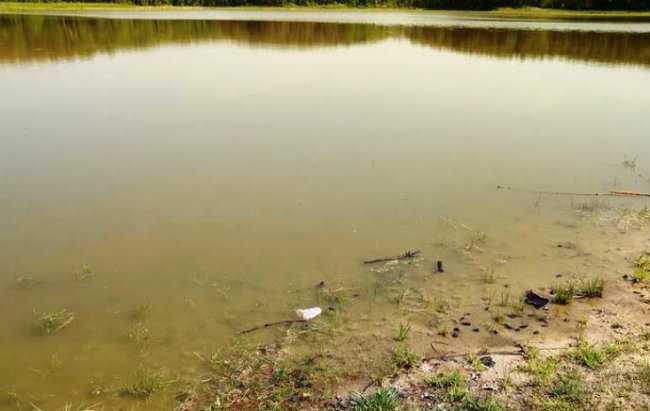 Через бездіяльність власника замулилось озеро на Волині. ФОТО