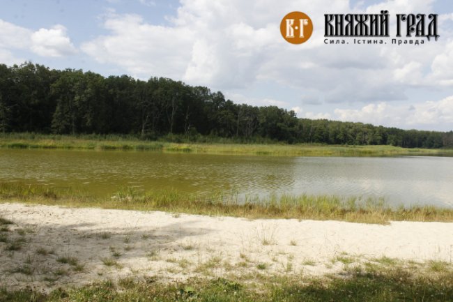 Через бездіяльність власника замулилось озеро на Волині. ФОТО