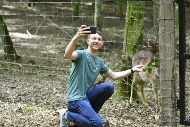 Йде до людей і любить смаколики: у лісі на Волині живе дружелюбний олень Борька
