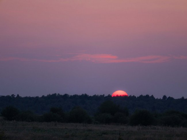 Краса, яка захоплює душу: дивовижні краєвиди Волині. ФОТО
