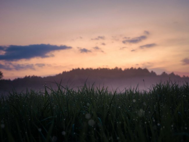 Краса, яка захоплює душу: дивовижні краєвиди Волині. ФОТО
