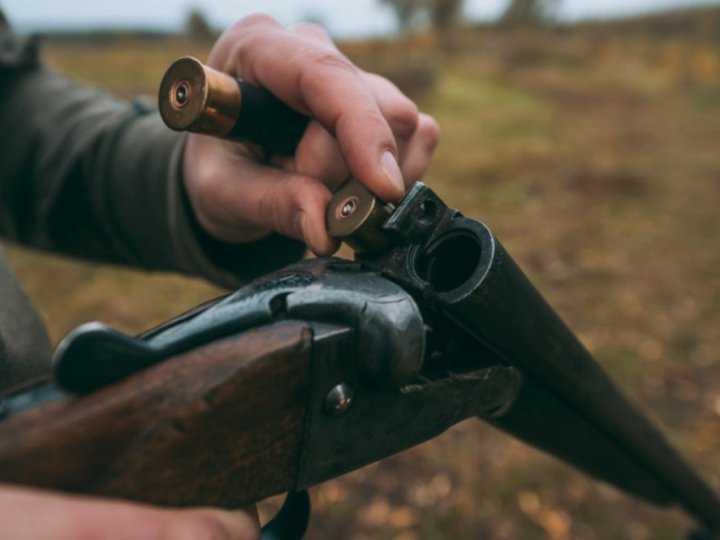 На Волині судили чоловіка, який застрелив з гвинтівки пса односельчанки