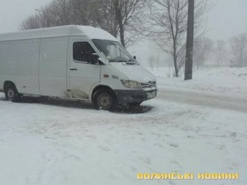 У Луцьку бус збив пішохода на переході