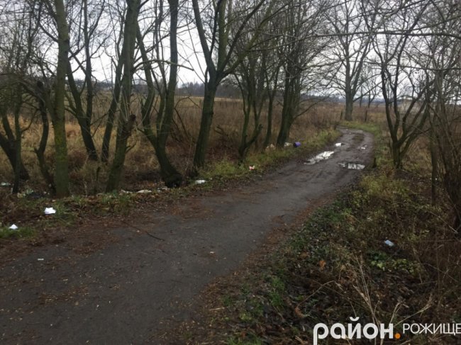 На Волині люди закидали сміттям дорогу