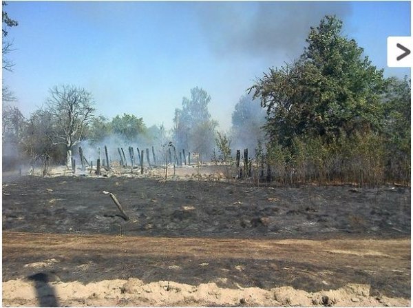 На Волині двічі горів хутір. ФОТО