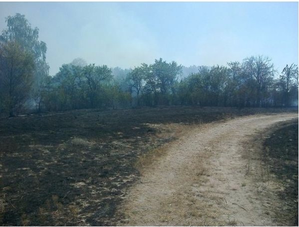 На Волині двічі горів хутір. ФОТО