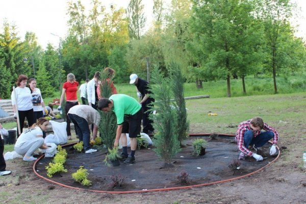 У луцькому парку висадили декоративні дерева. ФОТО