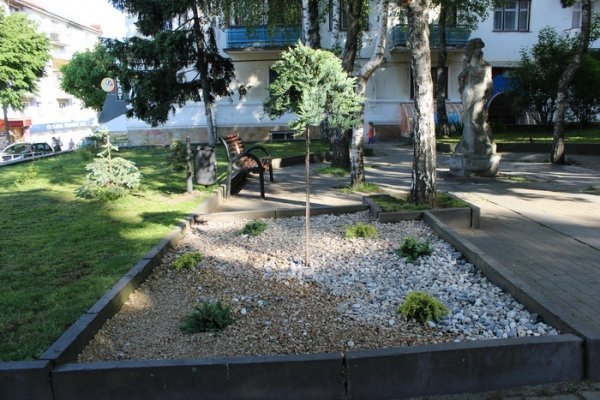 У луцькому парку висадили декоративні дерева. ФОТО