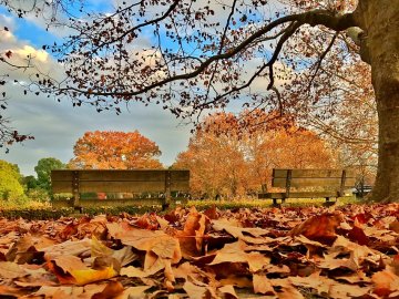 25 жовтня – яке сьогодні свято і чому в цей день не можна прати одяг