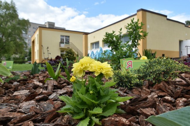 У Луцьку на території дитячого садочка з'явився ботанічний куточок. ФОТО