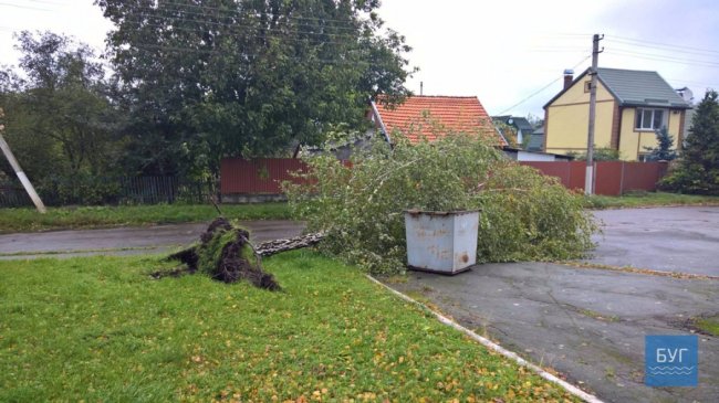 Через буревій у Нововолинську знеструмлені вулиці та повалені дерева