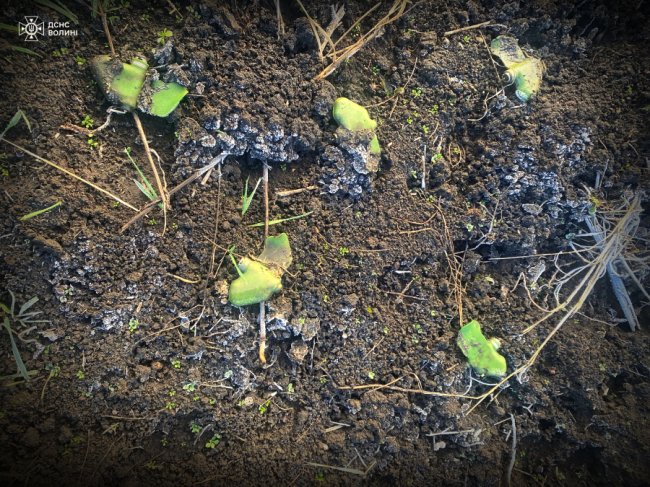 Волиняни продовжують розміновувати деокуповані українські землі. ФОТО