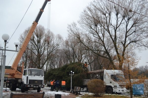 Головна ялинка Нововолинська – заввишки з 5-поверхівку