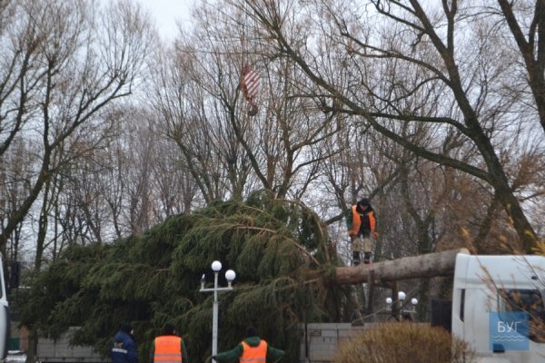 Головна ялинка Нововолинська – заввишки з 5-поверхівку