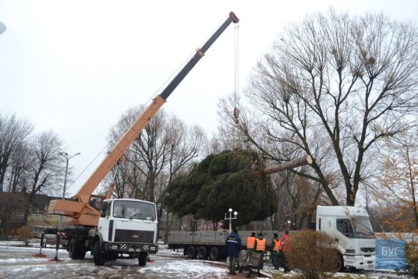 Головна ялинка Нововолинська – заввишки з 5-поверхівку