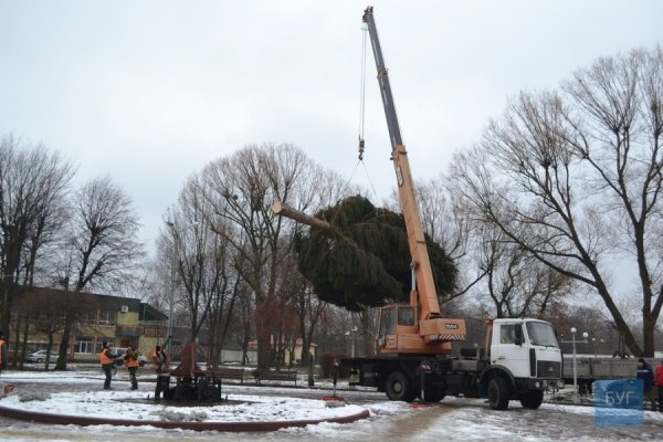 Головна ялинка Нововолинська – заввишки з 5-поверхівку