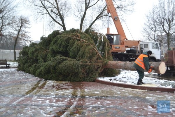 Головна ялинка Нововолинська – заввишки з 5-поверхівку