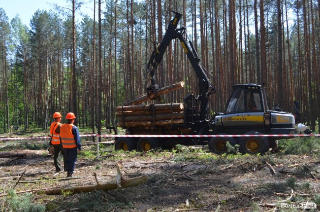 Експрес-подорож областю: на Волині – лісівники з усієї країни. ФОТО