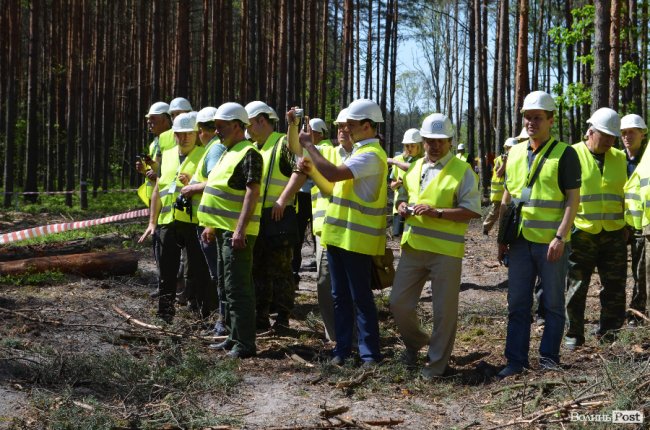Експрес-подорож областю: на Волині – лісівники з усієї країни. ФОТО