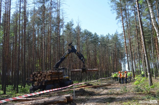 Експрес-подорож областю: на Волині – лісівники з усієї країни. ФОТО
