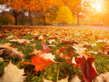 Погода в Луцьку та Волинській області на середу, 25 вересня