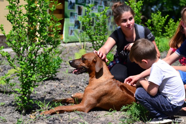  «Волинські вакації»: як відпочивають діти військових та волонтерів